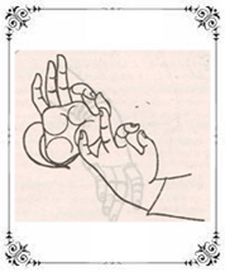 14_darma_chakra_hasta