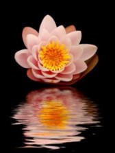 AshtavakraGeetaQuotes5[1]