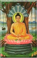buddha avatara2