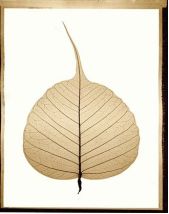 e992c8a06a3dfd6a1fd4ea787ad64c4a