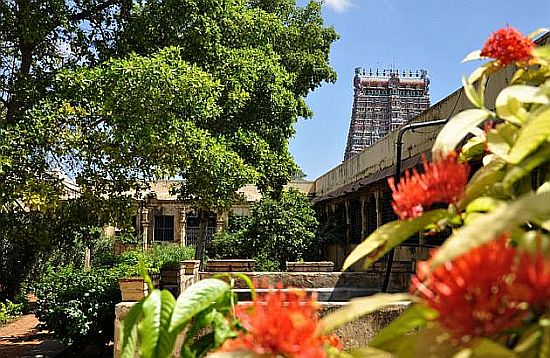 Madurai Temple Graden