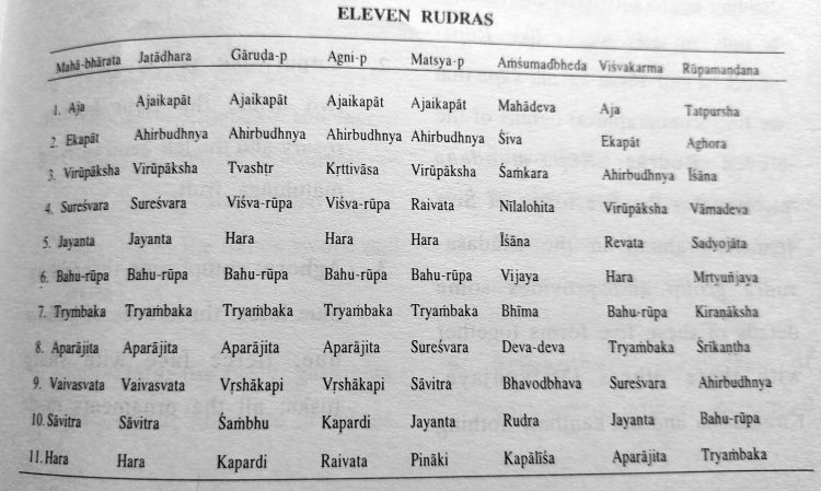 Rudras eleven