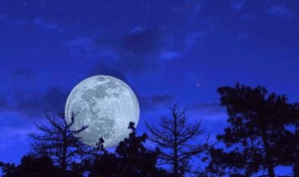 sharat Moon