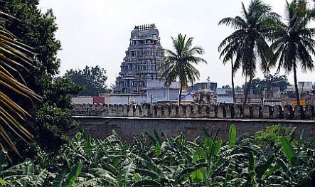 srirangam-temple-garden