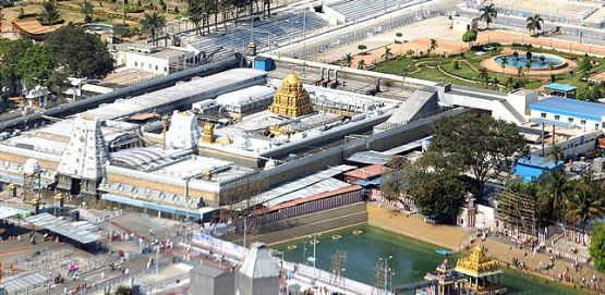 Tirumala arielview