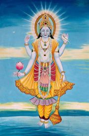 vishnu_narayana_wj94