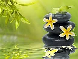 zen-mood-bokeh-garden