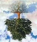 Inverted tree 1