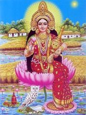 Lakshmi foot on lotus