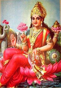 Lakshmi wisdom