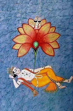 lotus vishnu