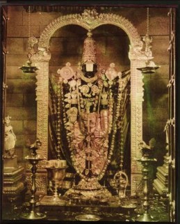 Srinivasa PerumaL Moolavar