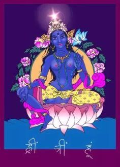 Tara