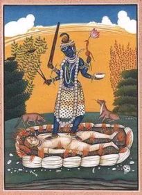 Tara3