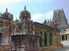 temple 3