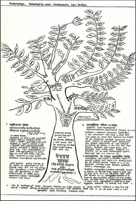 Veda Vrksha Michael Witzel