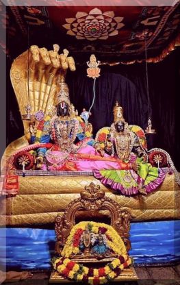 Vishnu Lakshmi