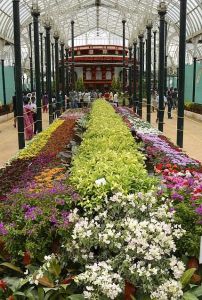 07in_flower_show_2962833f