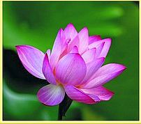 3689508840_acbe116319