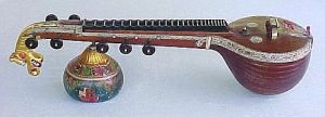 veena (1)