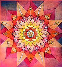 Design Pieter Weltevrede