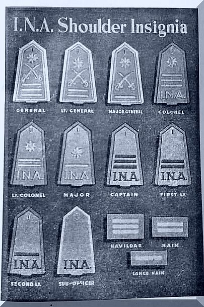 INA insignia