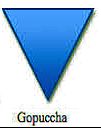 gopuccha