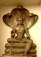 nagadevata
