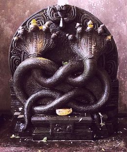 Nagakal, Kukke Subramanya