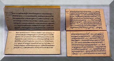 panini sanskrit 2